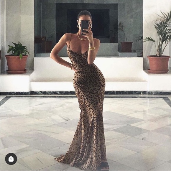 Rat & Boa Dresses & Skirts - Rat and boa Magdalena leopard maxi dress size small RARE